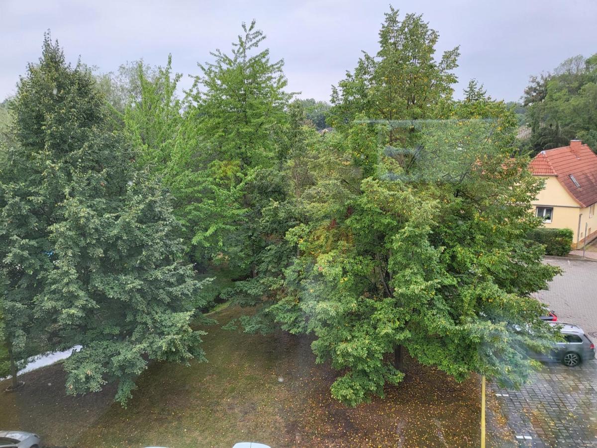 Exklusivwohnung Bad Duerrenberg Buitenkant foto